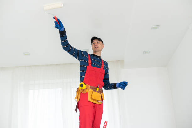 Trusted Bardmoor, FL Painting & Drywall Services Experts